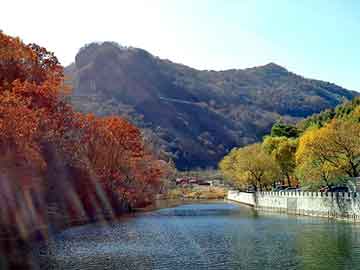 澳门二四六天天彩图库，小鸭圣吉奥抽油烟机